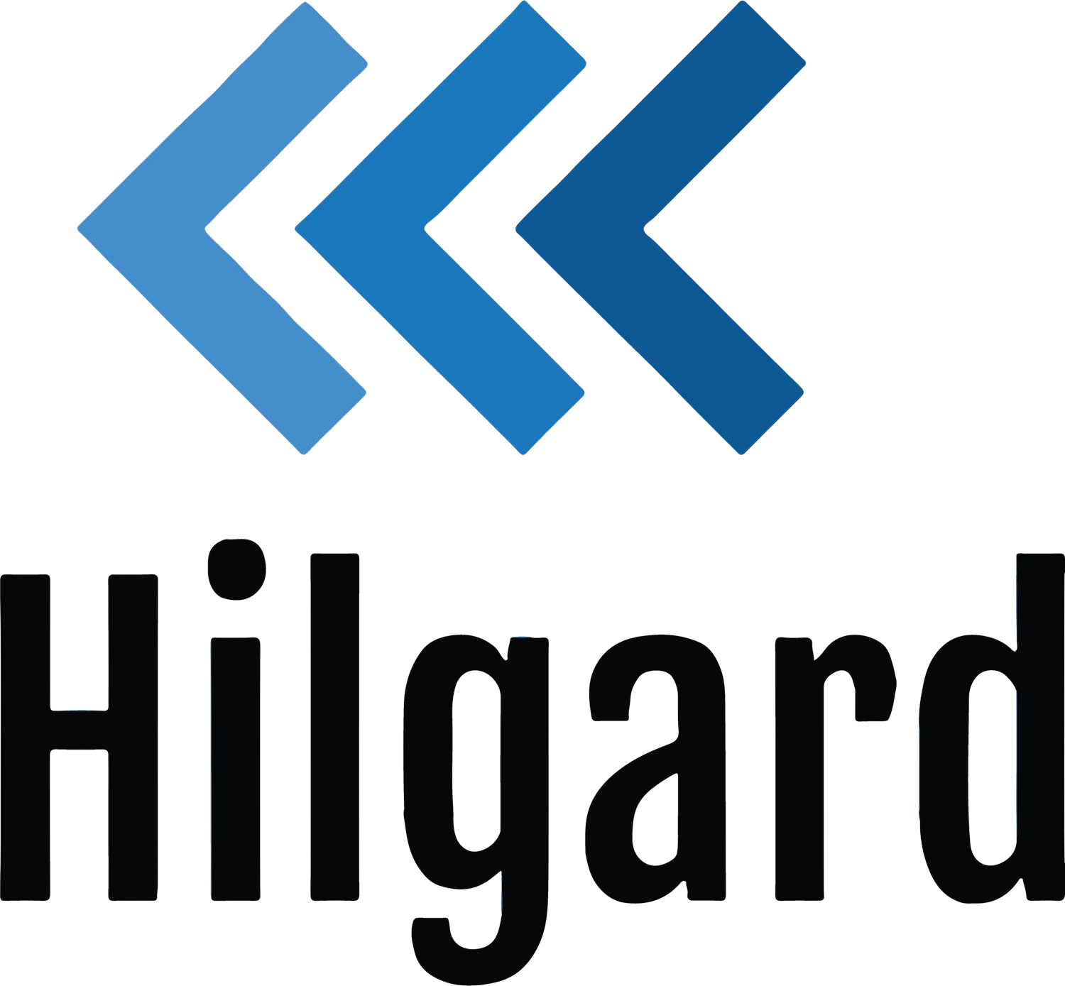 Hilgard Economics